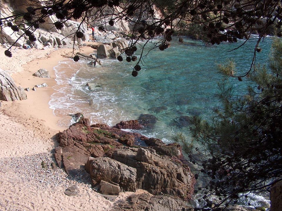 Evenia Olympic Garden Otel Lloret de Mar Dış mekan fotoğraf